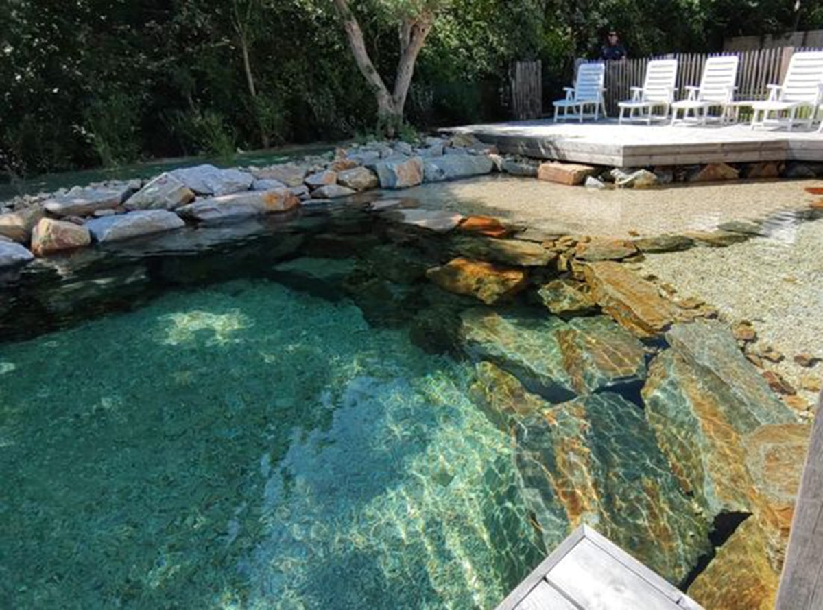 Piscine et bassins naturels